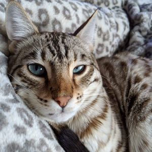 Meet your Posher, Teri